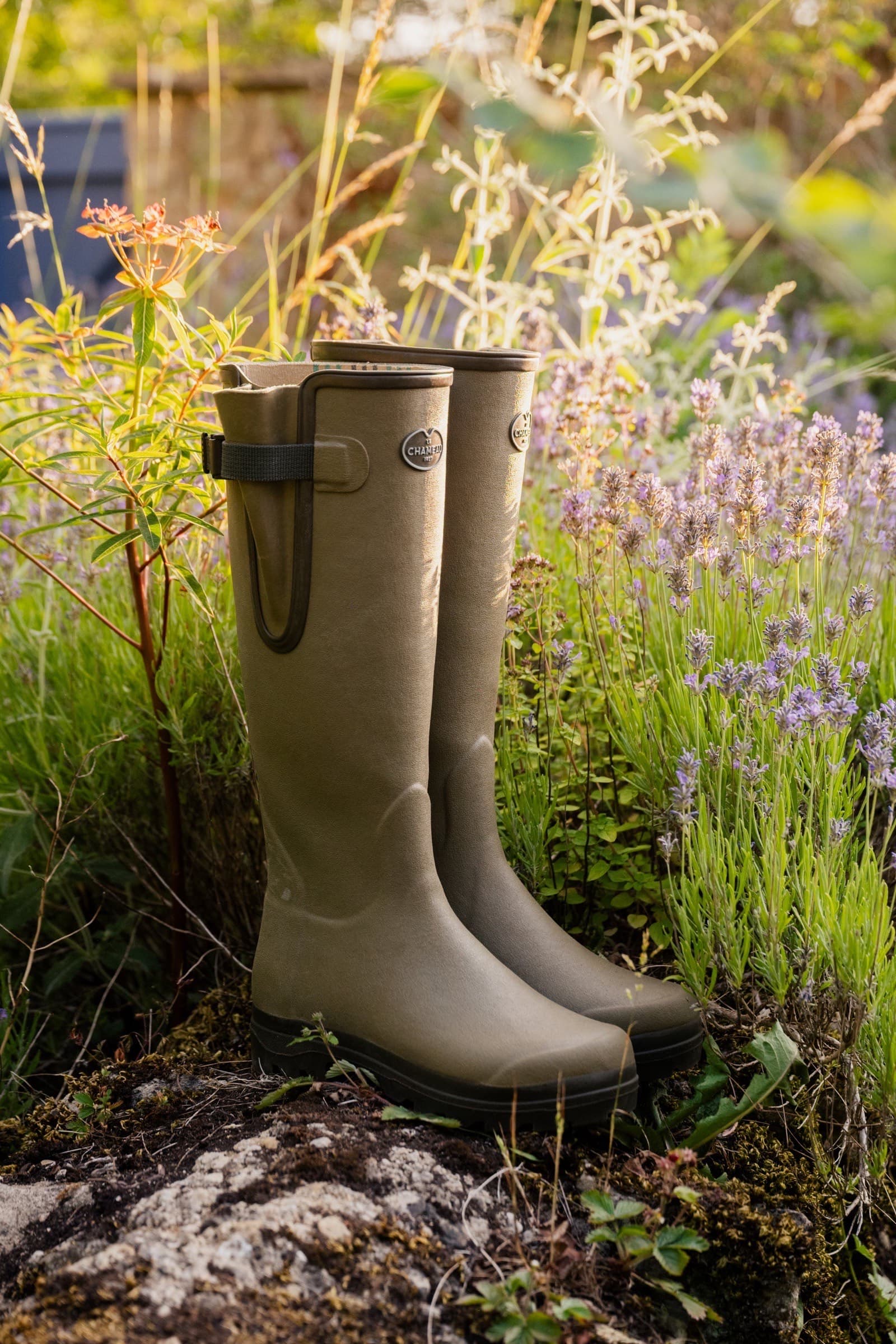 Le Chameau Vierzon wellington boots standing in a lavender garden